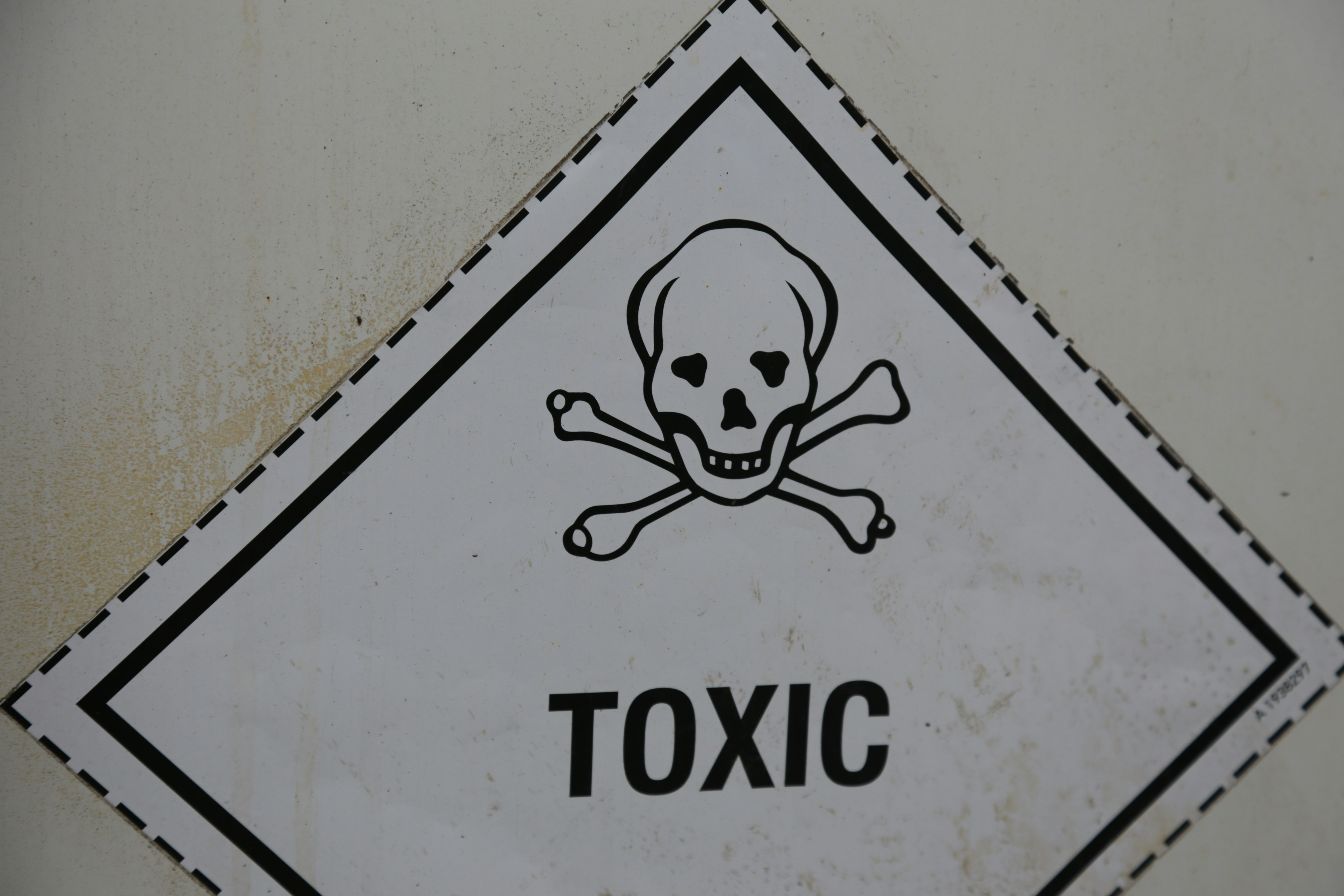 What to Do After a Biohazard Incident: A Step-by-Step Guide for Glendale Homeowners